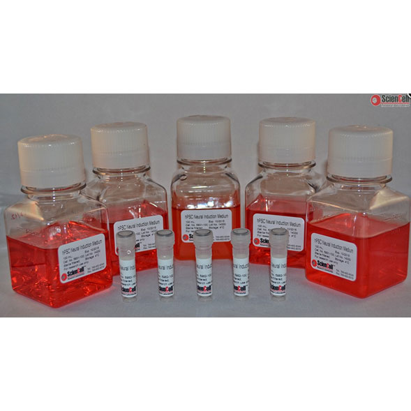 請(qǐng)?zhí)顚憳?biāo)題